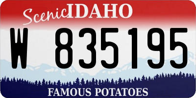 ID license plate W835195