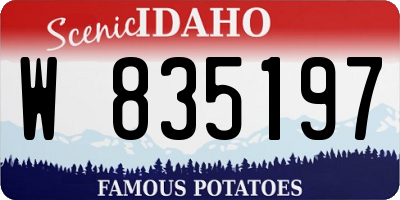 ID license plate W835197