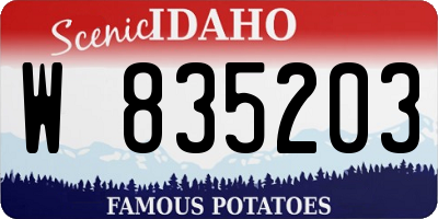 ID license plate W835203