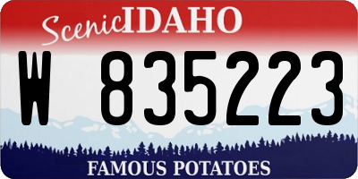 ID license plate W835223