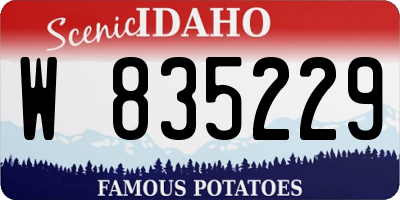 ID license plate W835229