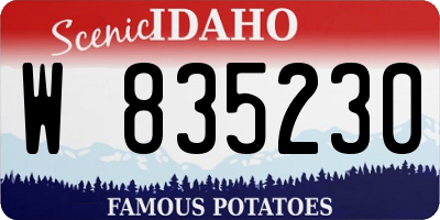 ID license plate W835230