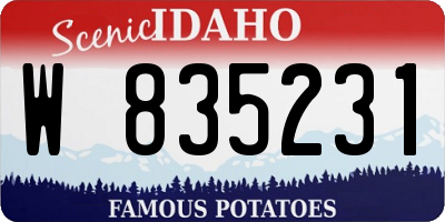 ID license plate W835231