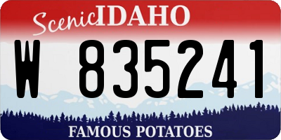 ID license plate W835241