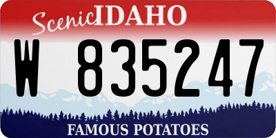 ID license plate W835247