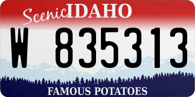 ID license plate W835313
