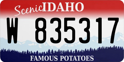 ID license plate W835317