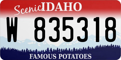 ID license plate W835318
