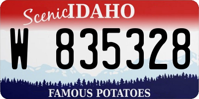 ID license plate W835328