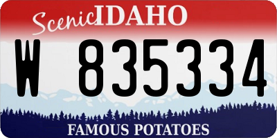 ID license plate W835334