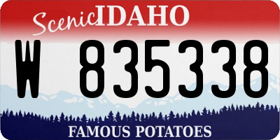 ID license plate W835338