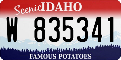 ID license plate W835341