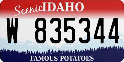 ID license plate W835344