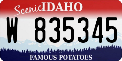 ID license plate W835345