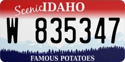 ID license plate W835347
