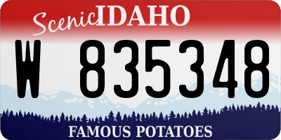 ID license plate W835348