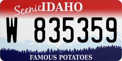 ID license plate W835359