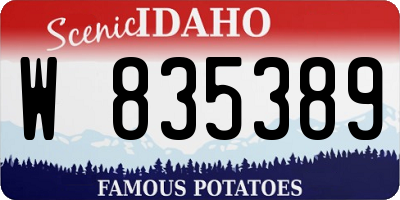 ID license plate W835389