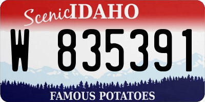 ID license plate W835391