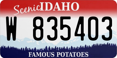 ID license plate W835403