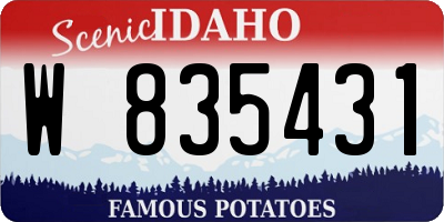 ID license plate W835431