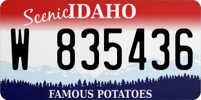 ID license plate W835436