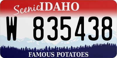 ID license plate W835438