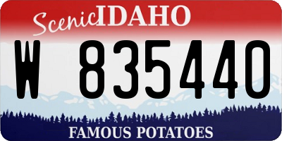 ID license plate W835440