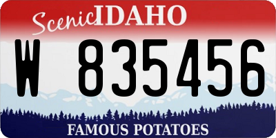 ID license plate W835456