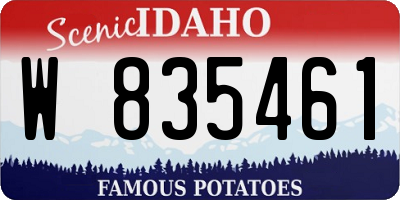 ID license plate W835461