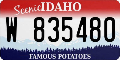 ID license plate W835480