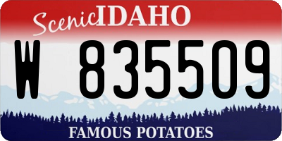 ID license plate W835509