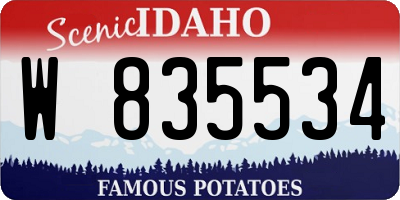 ID license plate W835534