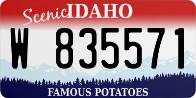 ID license plate W835571