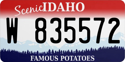 ID license plate W835572