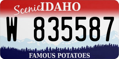 ID license plate W835587