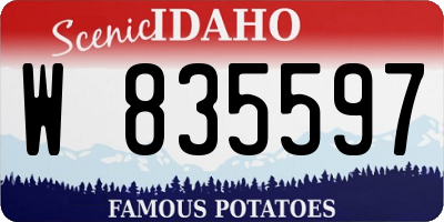 ID license plate W835597