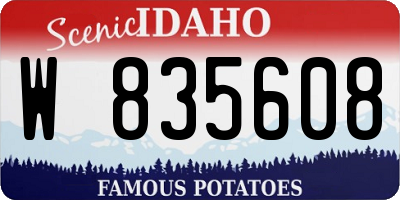 ID license plate W835608