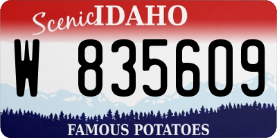 ID license plate W835609