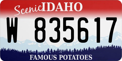 ID license plate W835617