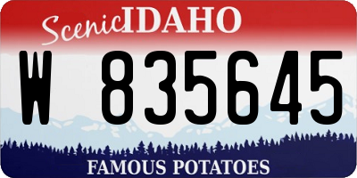 ID license plate W835645