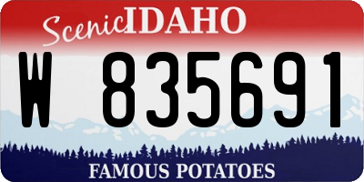ID license plate W835691