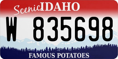 ID license plate W835698