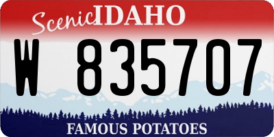 ID license plate W835707