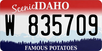 ID license plate W835709