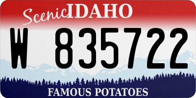 ID license plate W835722