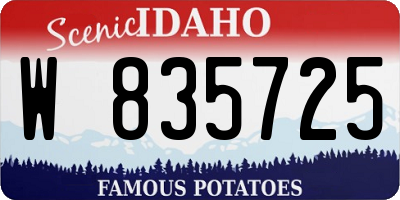 ID license plate W835725