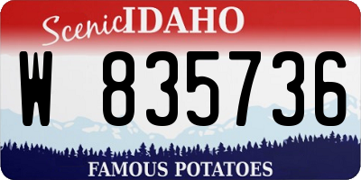 ID license plate W835736