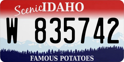 ID license plate W835742