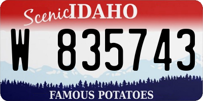 ID license plate W835743